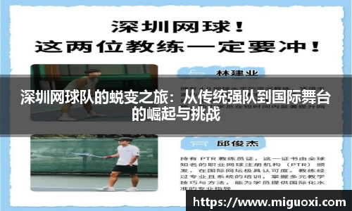 深圳网球队的蜕变之旅：从传统强队到国际舞台的崛起与挑战